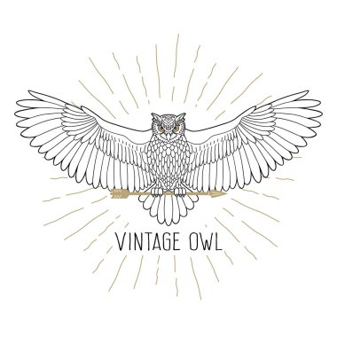 Magic Owl Geometric SVG