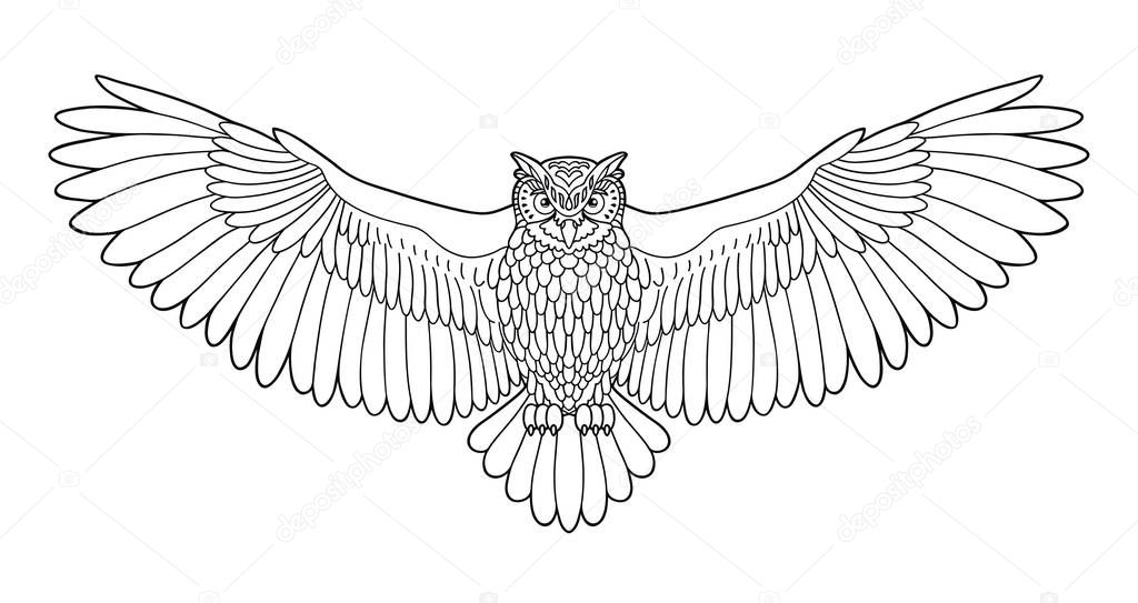 Owl. Eagle owl outline emblem in hipster style. Birds. Black white hand drawn doodle. Icon design on white background. Vector line icon