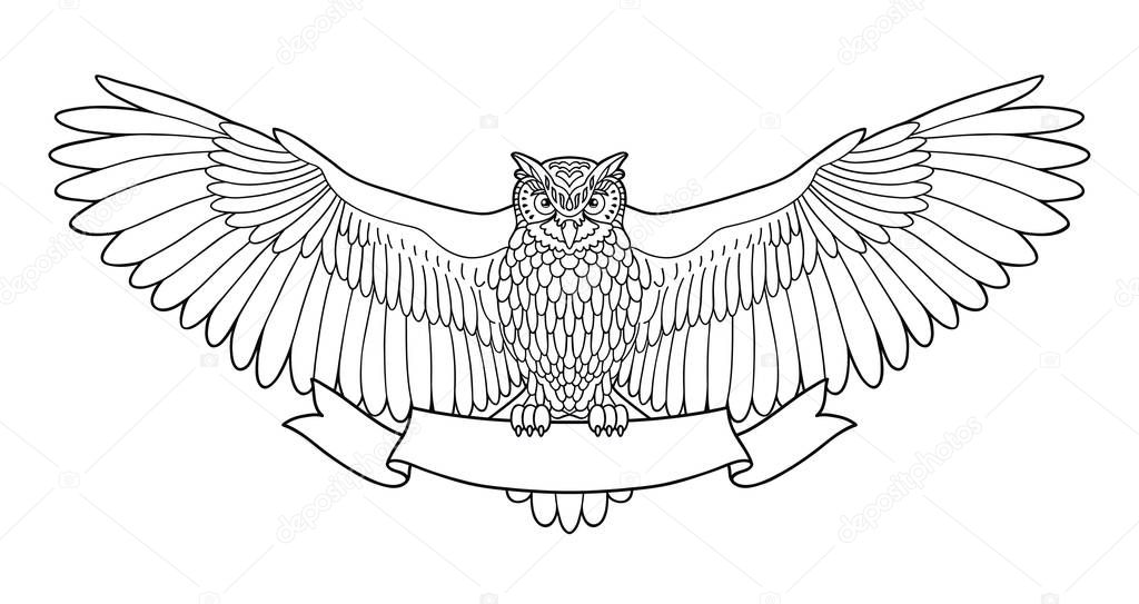 Owl. Eagle owl outline emblem in hipster style with ribbon. Birds. Black white hand drawn doodle. Icon design on white background. Vector line icon