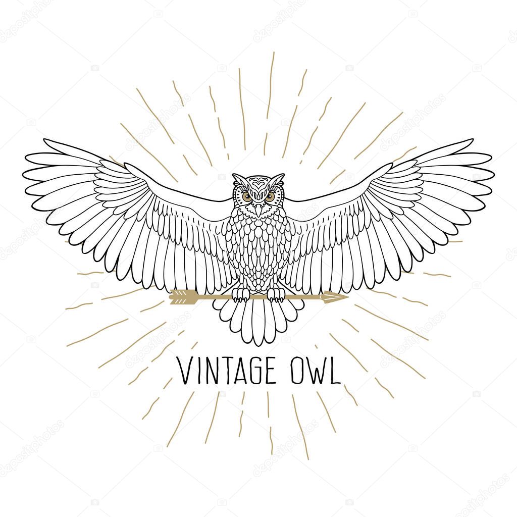 Owl. Eagle owl outline emblem in hipster style with arrow and beams. Birds. Black white hand drawn. Icon design on white background. Vector line icon