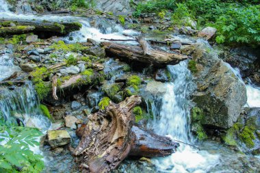Ağaç kütükleri ve taş ile dağ nehri