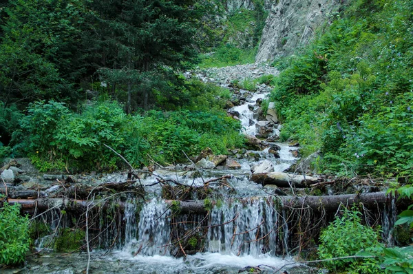 Devrilen ağaçların karşısındaki dağ nehri
