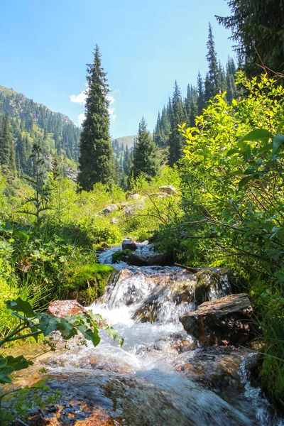 Rivier berglandschap — Stockfoto