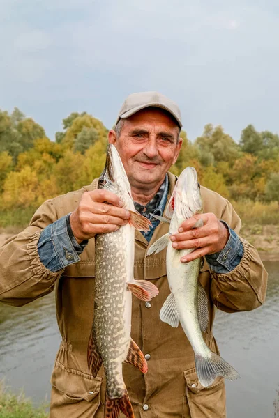 Vecchio pescatore e la sua cattura - lucioperca e luccio — Foto Stock