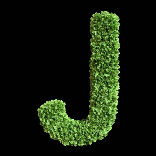 Zielony Alfabet Kwiatowy List Kolekcji Ilustracja — Zdjęcie stockowe