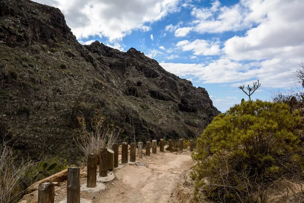 Beautiful Landscapes Barranco Del Infierno Tenerife Canary Islands Spain — Stock Photo, Image