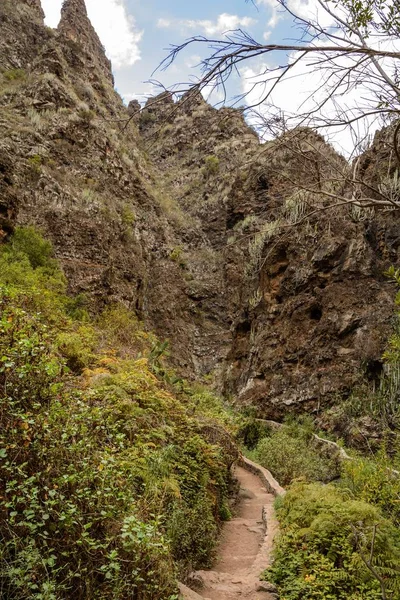 Beautiful landscapes of Barranco del Infierno in Tenerife. — Stock Photo, Image