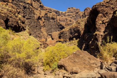 Gorge Masca hiking. büyük kayalar iz volkanik ada kapsar. Tenerife ada Dağları.