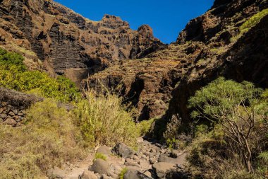 Gorge Masca hiking. gorge okyanus güzel yolda. Ada Tenerife, Kanarya Adaları, İspanya dağlarında.