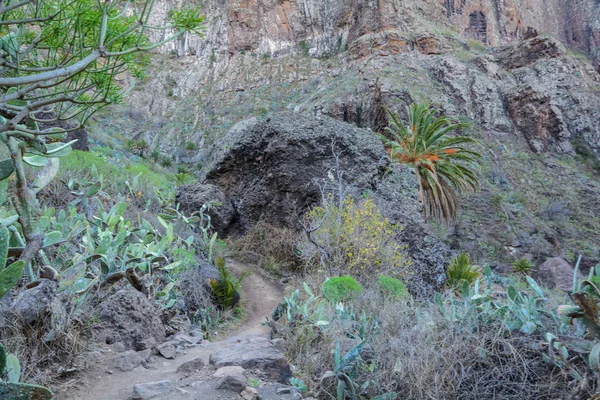 Maska ravine, cliffs, Tenerife. trail in the gorge Maska — Stock Photo, Image