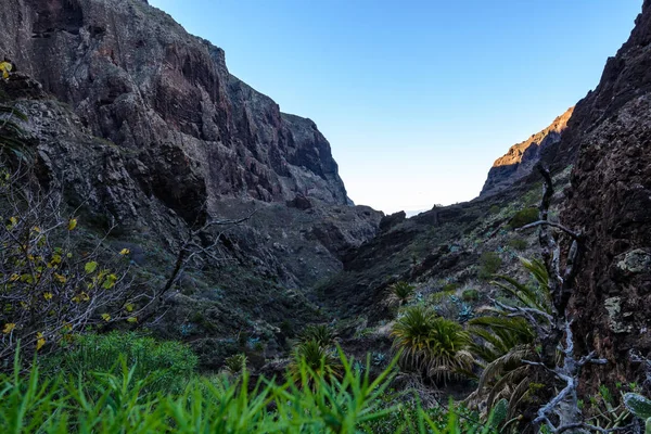 Maska ravine, cliffs, Tenerife. trail in the gorge Maska — Stock Photo, Image