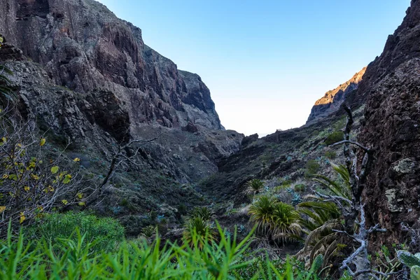 Maska ravine, cliffs, Tenerife. trail in the gorge Maska — Stock Photo, Image