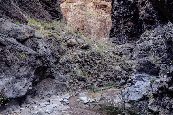 Túrázás, szurdok Masca. gyönyörű út mentén az óceán szurdok. Hegyek részén a sziget Tenerife, Kanári-szigetek, Spanyolország. — Stock Fotó