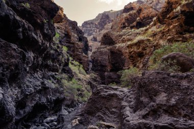 Gorge Masca hiking. büyük kayalar iz volkanik ada kapsar. Tenerife ada Dağları.