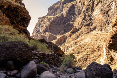 Gorge Masca hiking. gorge okyanus güzel yolda. Ada Tenerife, Kanarya Adaları, İspanya dağlarında.