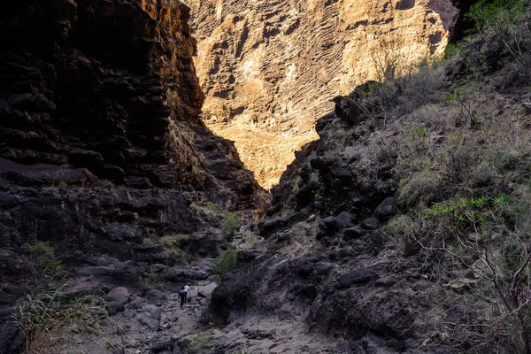 Пешие прогулки в ущелье Маска. красивая тропа вдоль ущелья к океану. Горы острова Тенерифе, Канарский остров, Испания . — стоковое фото