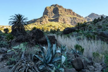 MASKA dağ geçidi, uçurumlar, Tenerife. vadide Maska iz