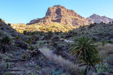 MASKA dağ geçidi, uçurumlar, Tenerife. vadide Maska iz