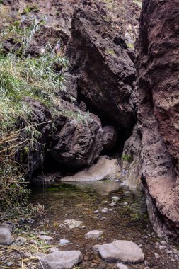 Gorge Masca hiking. Volkanik ada. Ada Tenerife, Kanarya Adaları, İspanya dağlarında.