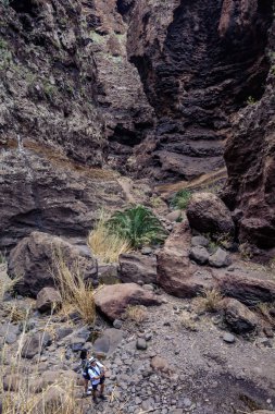 Gorge Masca hiking. Volkanik ada. Ada Tenerife, Kanarya Adaları, İspanya dağlarında.