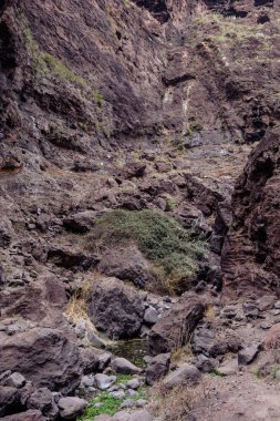 Gorge Masca hiking. Volkanik ada. Ada Tenerife, Kanarya Adaları, İspanya dağlarında.