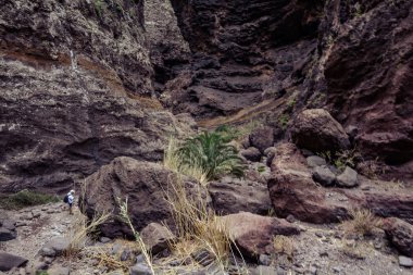 Gorge Masca hiking. Volkanik ada. Ada Tenerife, Kanarya Adaları, İspanya dağlarında.