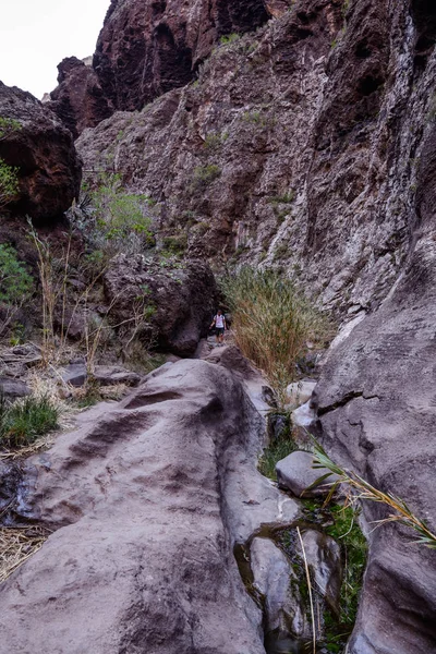 Hiking in Gorge Masca. Volcanic island. Mountains of the island of Tenerife, Canary Island, Spain. — Stock Photo, Image