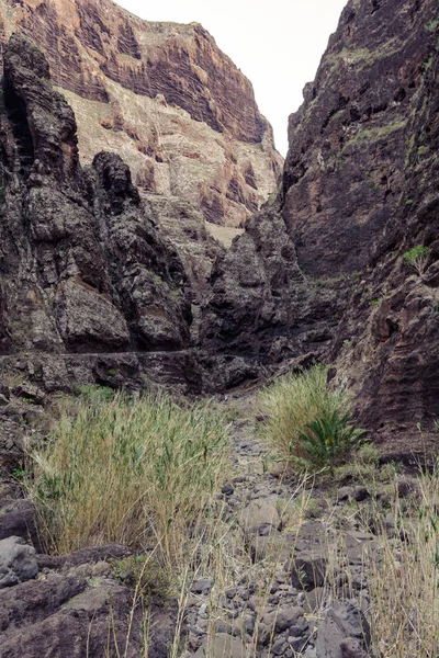 Hiking in Gorge Masca. Volcanic island. Mountains of the island of Tenerife, Canary Island, Spain. — Stock Photo, Image