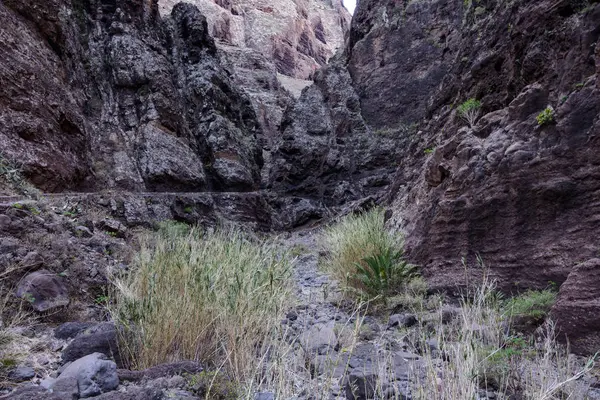 Hiking in Gorge Masca. Volcanic island. Mountains of the island of Tenerife, Canary Island, Spain. — Stock Photo, Image