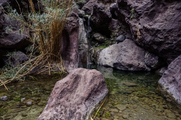 Hiking in Gorge Masca. Volcanic island. Mountains of the island of Tenerife, Canary Island, Spain. — Stock Photo, Image