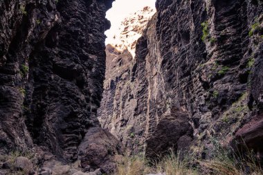 Gorge Masca hiking. Volkanik ada. Ada Tenerife, Kanarya Adaları, İspanya dağlarında.