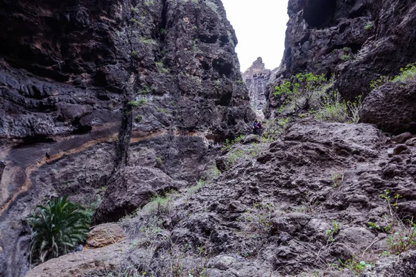 Caminhadas em Gorge Masca. Ilha vulcânica. Montanhas da ilha de Tenerife, Ilha Canária, Espanha . — Fotografia de Stock