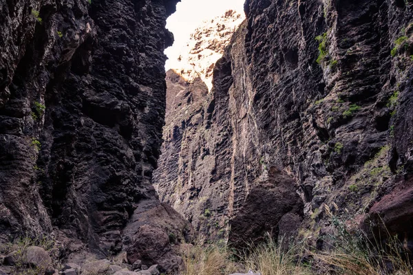 Senderismo en Gorge Masca. Isla volcánica. Montañas de la isla de Tenerife, Islas Canarias, España . — Foto de Stock