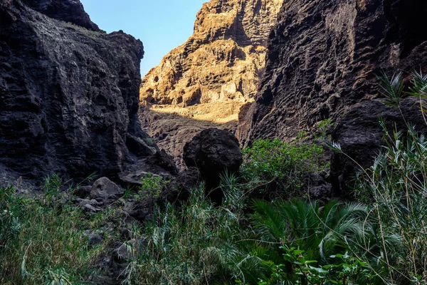 Randonnée pédestre dans Gorge Masca. L'île volcanique. Montagnes de l'île de Tenerife, Îles Canaries, Espagne . — Photo