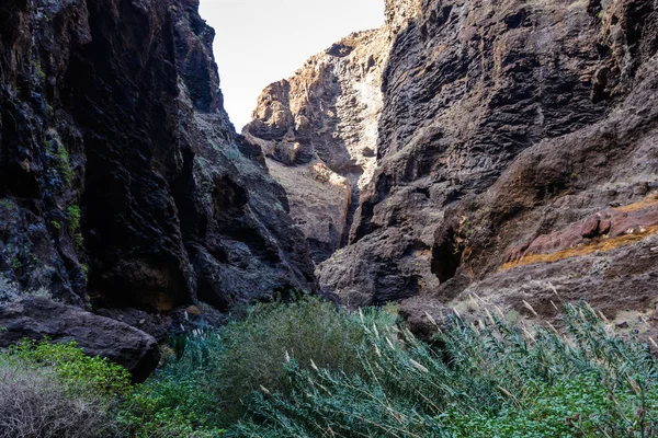 Hiking in Gorge Masca. Volcanic island. Mountains of the island of Tenerife, Canary Island, Spain. — Stock Photo, Image