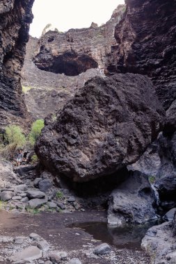 Gorge Masca hiking. Volkanik ada. Ada Tenerife, Kanarya Adaları, İspanya dağlarında.