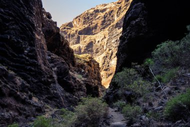 Gorge Masca hiking. gorge okyanus güzel yolda. Ada Tenerife, Kanarya Adaları, İspanya dağlarında.