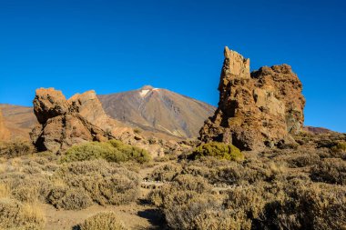 Pico del Teide. Tenerife, İspanya. bitkiler ve lav.