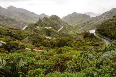 Yağmurdan sonra dağlarda yol. Dağlarda hafif sis.