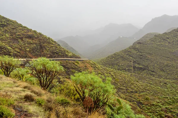 Camino en las montañas después de la lluvia. niebla ligera en las montañas. — Foto de Stock