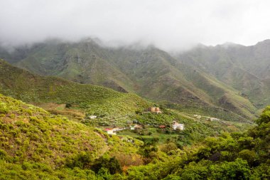 Yeşil çimenli dik yamacın güzel huzurlu manzarası. Dağın yamaçlarında güzel bir köy