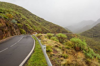 Yağmurdan sonra dağlarda yol. Dağlarda hafif sis.
