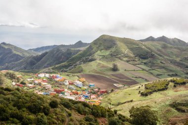 Orman ve tepeler. Yeşil bahar doğası dağın zirvesine doğru gelişiyor.