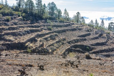 Bahçe terasları ve merdivenler. Hillside Köyü. Güzel dağ köyü.