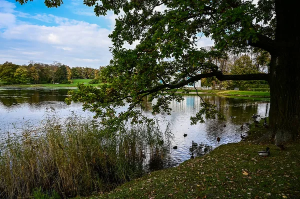 Floresta de outono e reflexão no lago. Cena dramática incomum. Folhas vermelhas e amarelas de outono. Mundo da beleza. — Fotografia de Stock