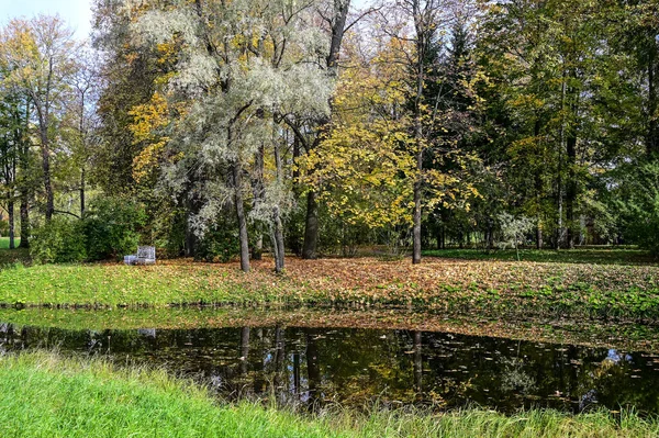 Floresta de outono e reflexão no lago. Cena dramática incomum. Folhas vermelhas e amarelas de outono. Mundo da beleza. — Fotografia de Stock