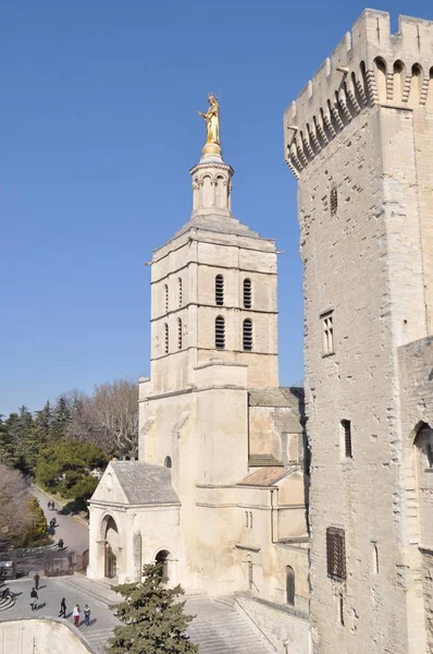 Francia Aviñón Febrero 2019 Palacio Del Papa — Foto de Stock