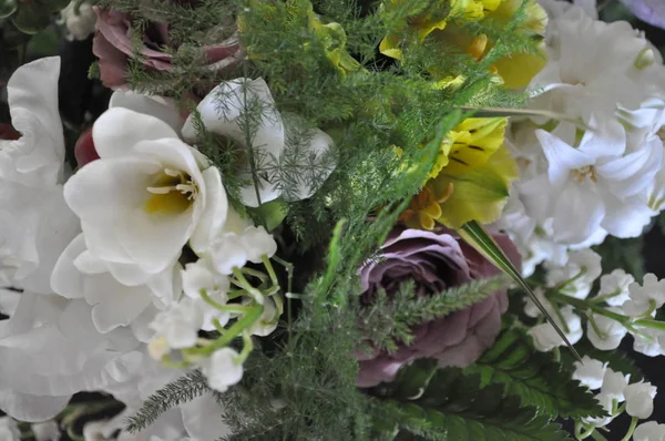 Fiori Diversi Tipi Insieme — Foto Stock