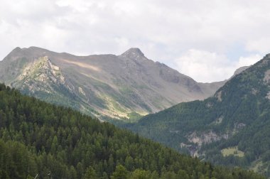 Dağların manzarası. Alpler 'in manzarası .