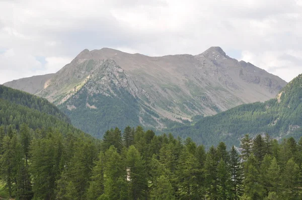 Sicht Auf Die Berge Blick Auf Die Alpen — Stockfoto